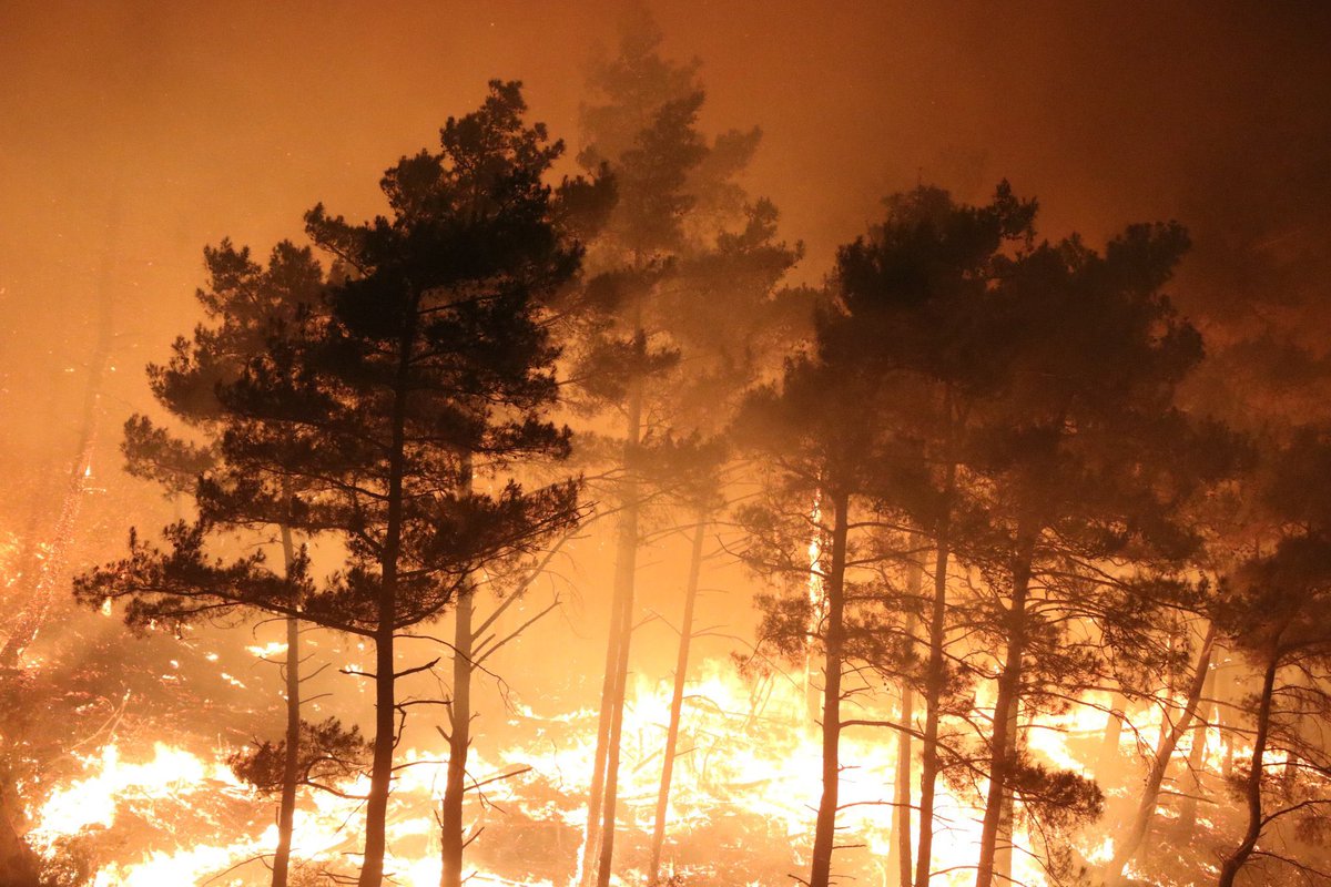 الي عم يصير في اللاذقية كارثة ومصيبة 
الحرائق وصلت لبيوت الناس