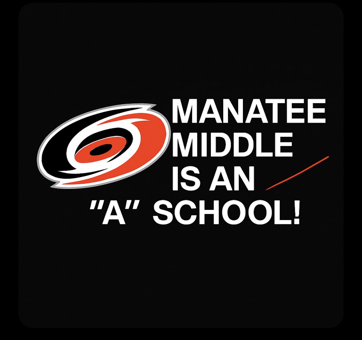 I am so happy for the staff &amp; students at Manatee Middle School.🥳

You have worked so hard perfecting your craft, developing relationships with students &amp; families, and using interventions to help every student succeed.

This just confirms all of your hard work, year after year.