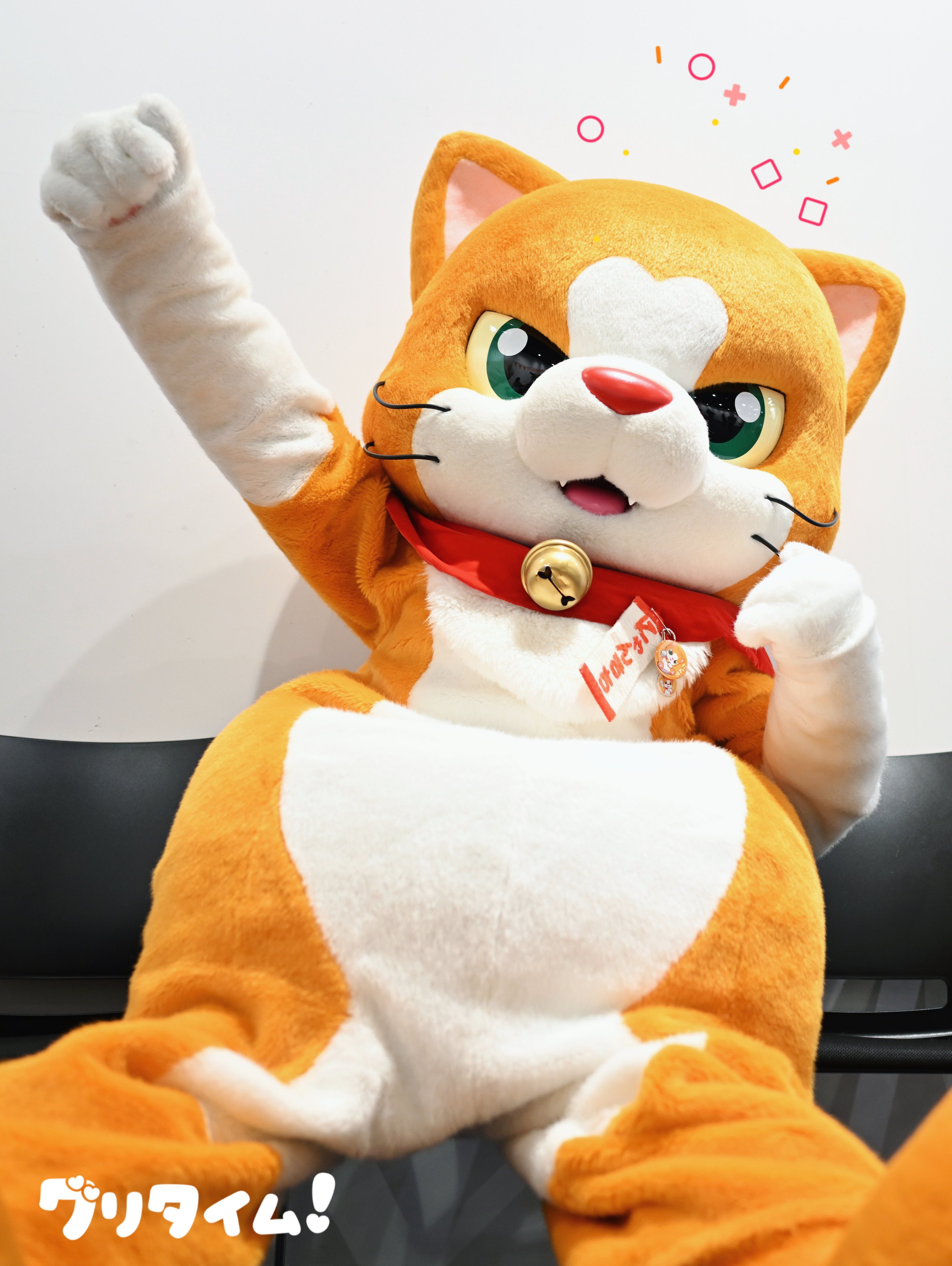 にゃん吉ページ にゃん吉【公式】Nyankichi (@cat_nyankichi) / X