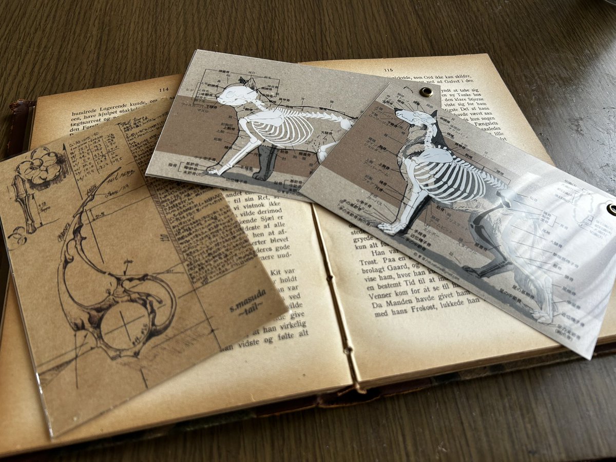 楓子 (@okanoue_fuko) on Twitter photo 遅くなりましたがデザフェス戦利品です!
<a href="/preer_antique/">preer・プレール</a> 様のハンカチ
<a href="/small00right/">small right(スモールライト)</a> 様のイヤーカフ
<a href="/honeya_cocoro/">cocoro</a> 様のマウスの頭蓋骨標本
<a href="/teHANA_dog/">夏菜🌱9/6東京ハンドメイドマルシェ【J-18】</a> 様のポストカード2種
Masuda Shuichi様のポストカード
とっても楽しくて大満足の1日でした! 遅くなりましたがデザフェス戦利品です!
<a href="/preer_antique/">preer・プレール</a> 様のハンカチ
<a href="/small00right/">small right(スモールライト)</a> 様のイヤーカフ
<a href="/honeya_cocoro/">cocoro</a> 様のマウスの頭蓋骨標本
<a href="/teHANA_dog/">夏菜🌱9/6東京ハンドメイドマルシェ【J-18】</a> 様のポストカード2種
Masuda Shuichi様のポストカード
とっても楽しくて大満足の1日でした!