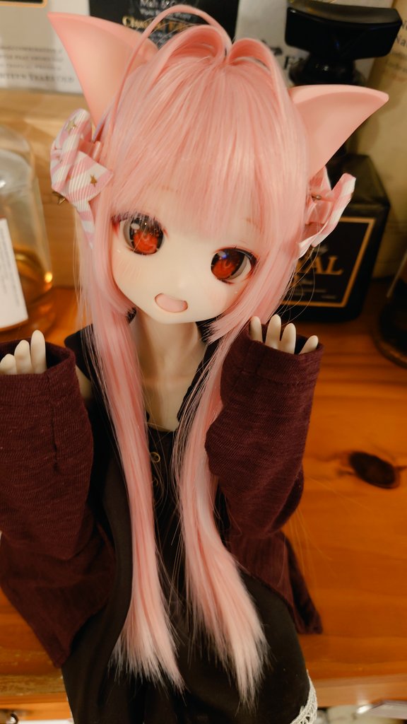 おはようございます😌雨降ってるけど暑いものは暑い🫠
ねっちゅうしょうちゅ〜い😺
#MDDはいいぞ #BorderlineToybox #うちのこかわいい #メテオっ子 #おはドル