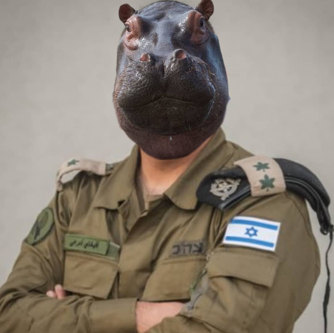 مقتل عشرين جندي صهيوني
وأكثر من ثلاثين جريح
حلل يا افيخاي
حلل يا فرس النهر 🤣🤣🤣