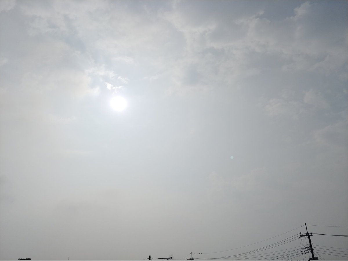tompeko383912's tweet image. おはようございます☀️30.2℃
朝からこの気温
勘弁してくれ
#イマソラ