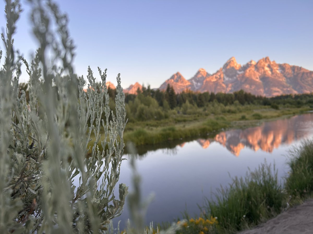 Rodney_Crouse's tweet photo. Steam in the Park - Year 5 is underway and this week is happening at @GrandTetonNPS ! #STEAMinthePark so many beautiful scenes and so much to learn this week! @GCSchoolsNC @PatriotsPearce https://t.co/ABLCrRptxf