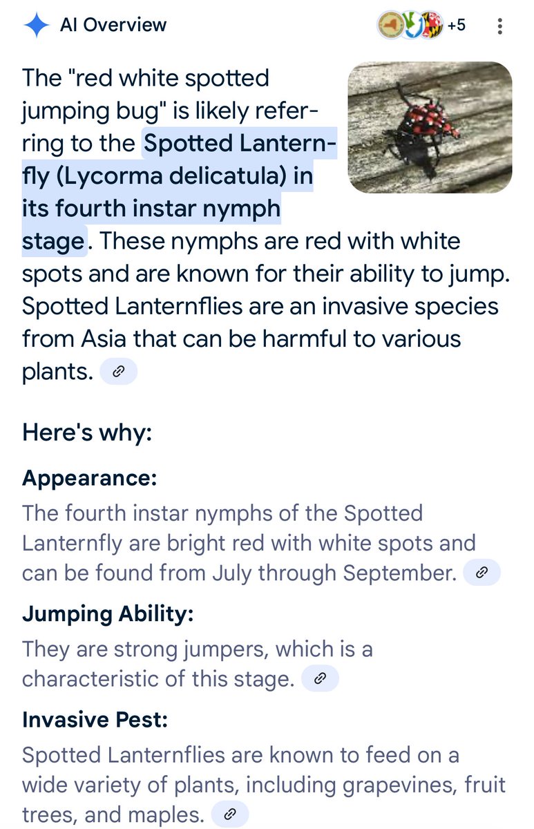 reviberay's tweet image. First the mites. Then the weevils. Man this is getting out of hand. I’ve never, ever seen these things in my life and I’ve lived in every corner of The Commonwealth of Virginia!
I can’t even take my boy to the pond to skip rocks without being attacked by one of these things…