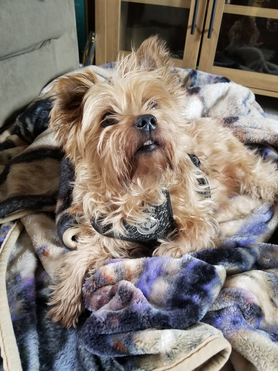 One month without you and I'll never stop missing you. 💔