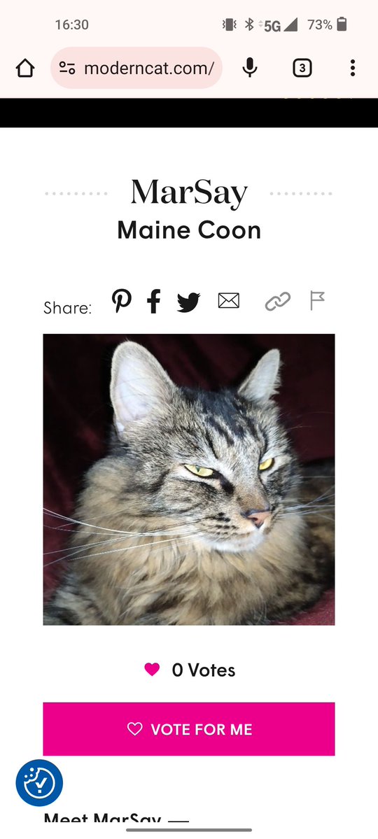 o2bcd8ed's tweet image. #cat #pets #specialneeds #Animals #contest Please Vote for MarSay in the Modern Cat photo contest! moderncat.com/entry/marsay Thank you
