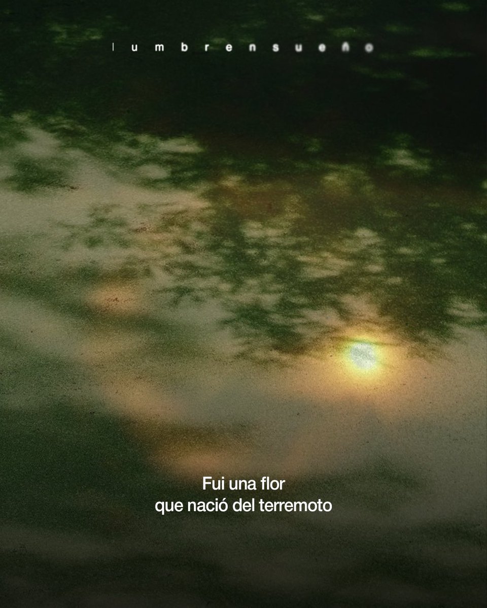 PimientaFilms's tweet image. hijo del trueno
llovió cuando nací
y así me iré
con el agua
Lucas acaba de llegar. Una ciudad gris lo recibe, pero él sigue soñando con los ojos abiertos.
“Lumbrensueño”, de José Pablo Escamilla.
Estreno en cines este 18 de julio.
#PimientaDistribución