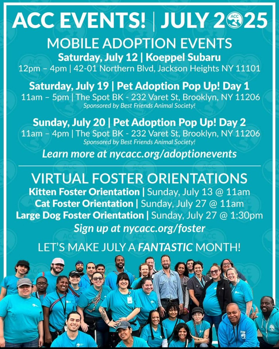 📢 #NYCACC Adoption Events💕
 
▪️Sat July 12th 12-4
Koeppel Subaru
4201 Northern Blvd
Jackson Heights, 11101
+
Sun July 19th 11-5
Pop up Event 1
The Spot BK
232 Varet St, Bklyn 11206
+
Pop Up Event 2
Sat July 20th 11-4
232 Varet St, Bklyn

For more info
 nycacc.org/adoptionevents