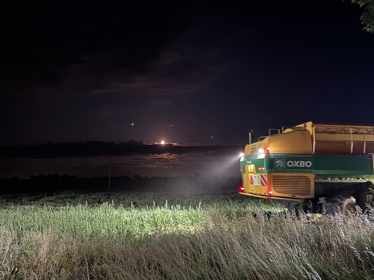 We have some stunning sights tonight 🌒 🫛🫛🫛🫛