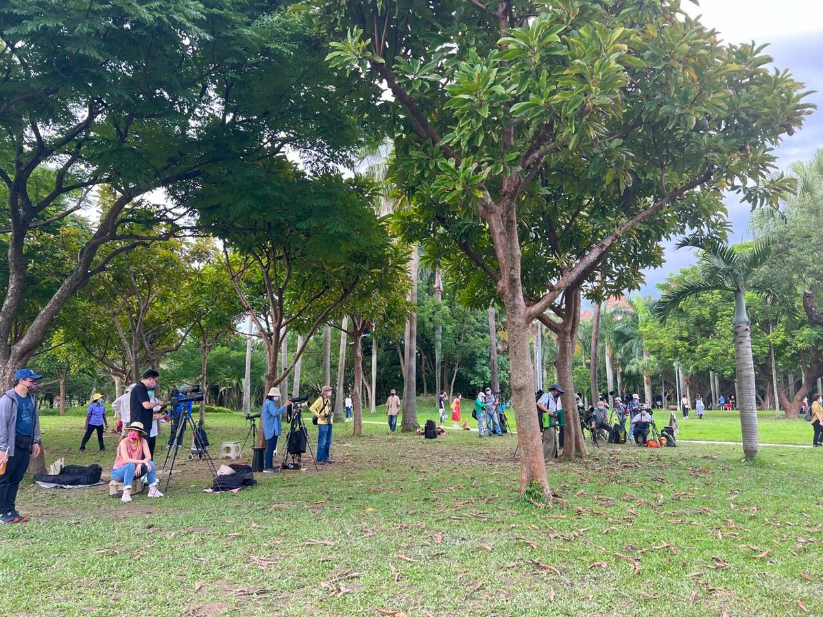 l_abi32sdfc's tweet photo. 朝の大安森林公園、太陽は出てなかったけど、空気はすごくさわやかで気持ちよかった〜🌿☁️
林の小道を歩きながら、虫の声と鳥のさえずりを聞いてると、心がふわっと落ち着いてきたよ🍃
こんな朝のおさんぽは、自分へのいちばん優しいスタートかもね https://t.co/VFvY5Okns5