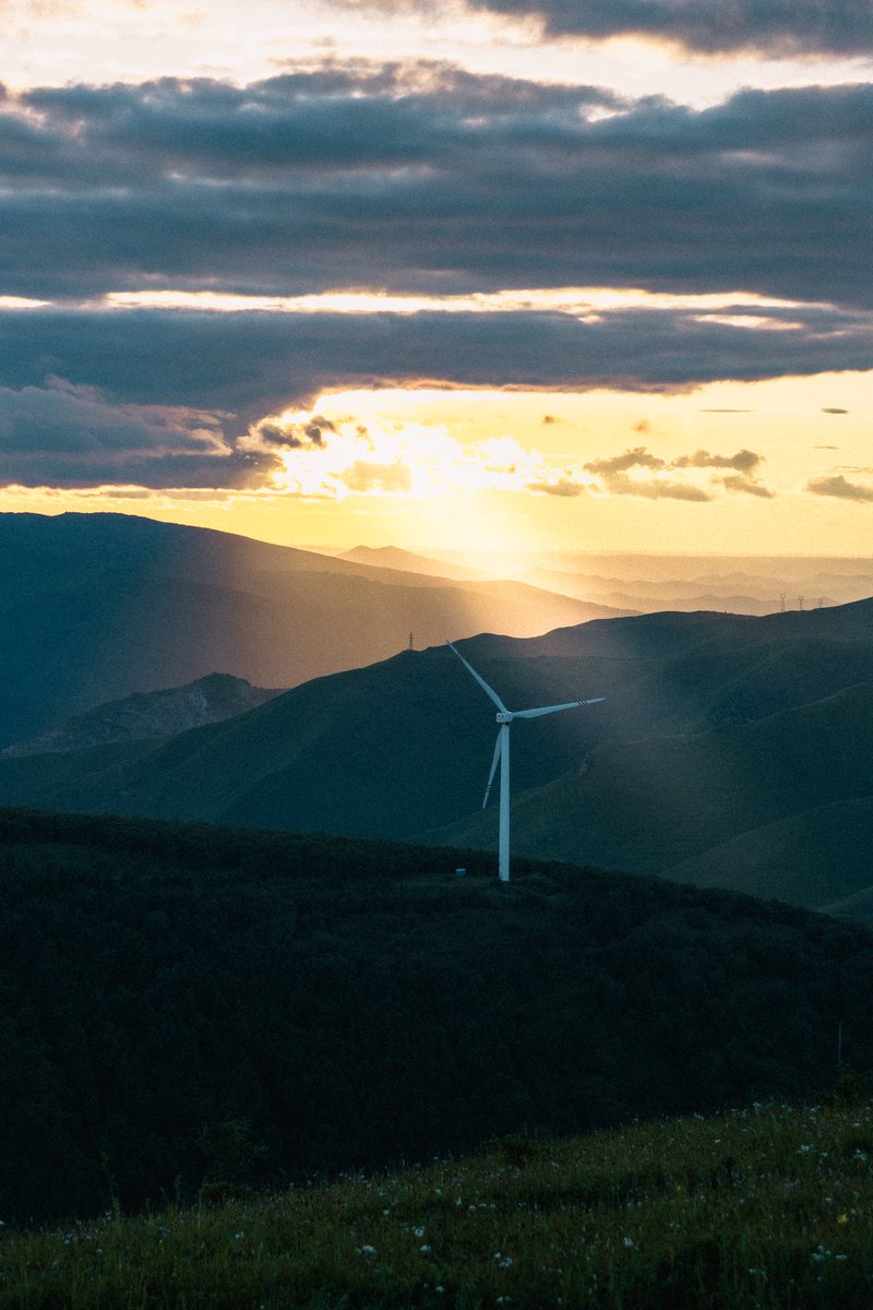 Starbugs (@freesisx) on Twitter photo 