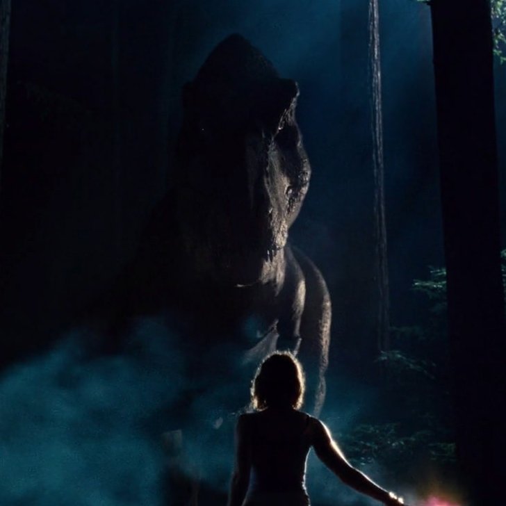 firetowersrcool tweet media