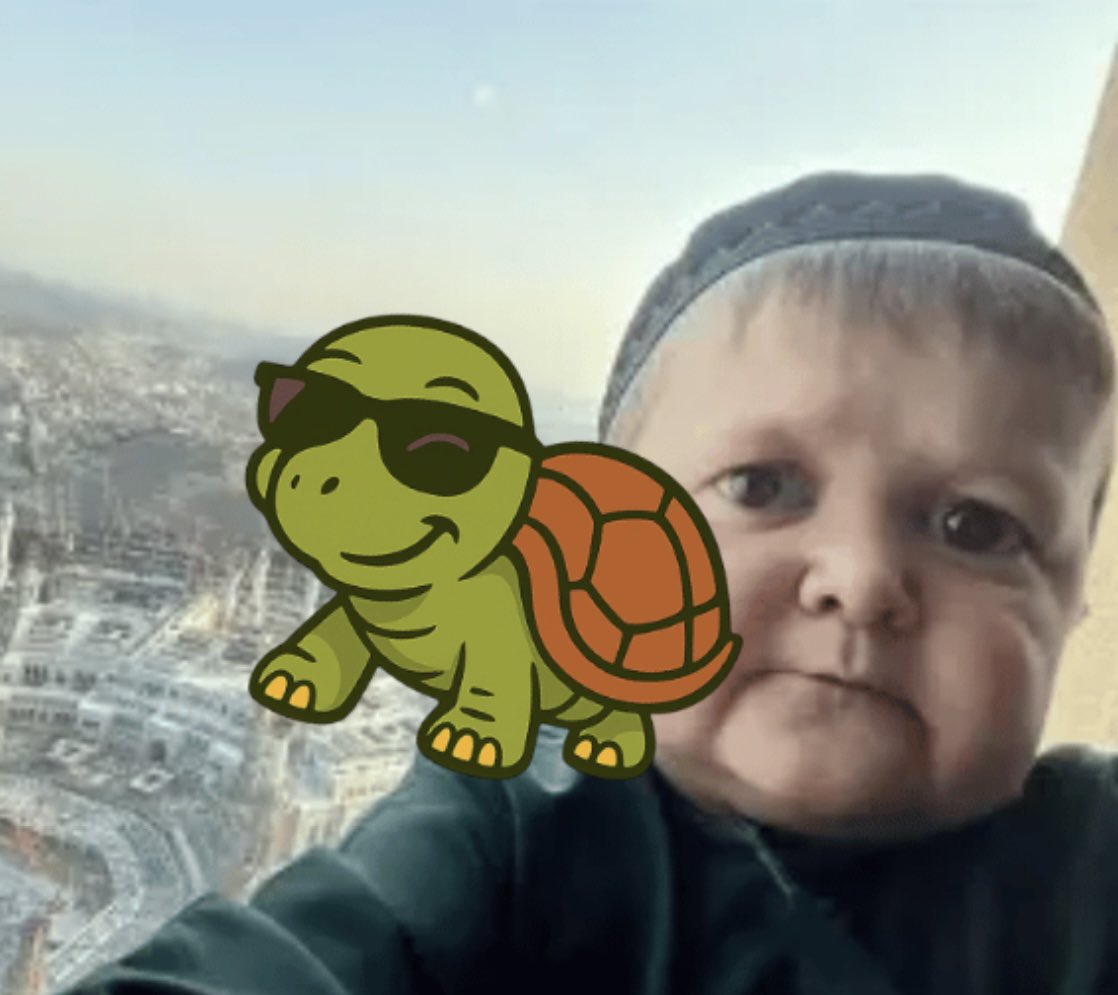 SLOMOTheTurtle's tweet image. SLOMO x Hasbulla

#SLOMO #TurtleToken #Hasbulla #meme #memecoin #Trending #Crypto