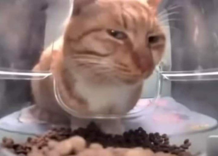 리디가 갑자기 이러는거 수상한데