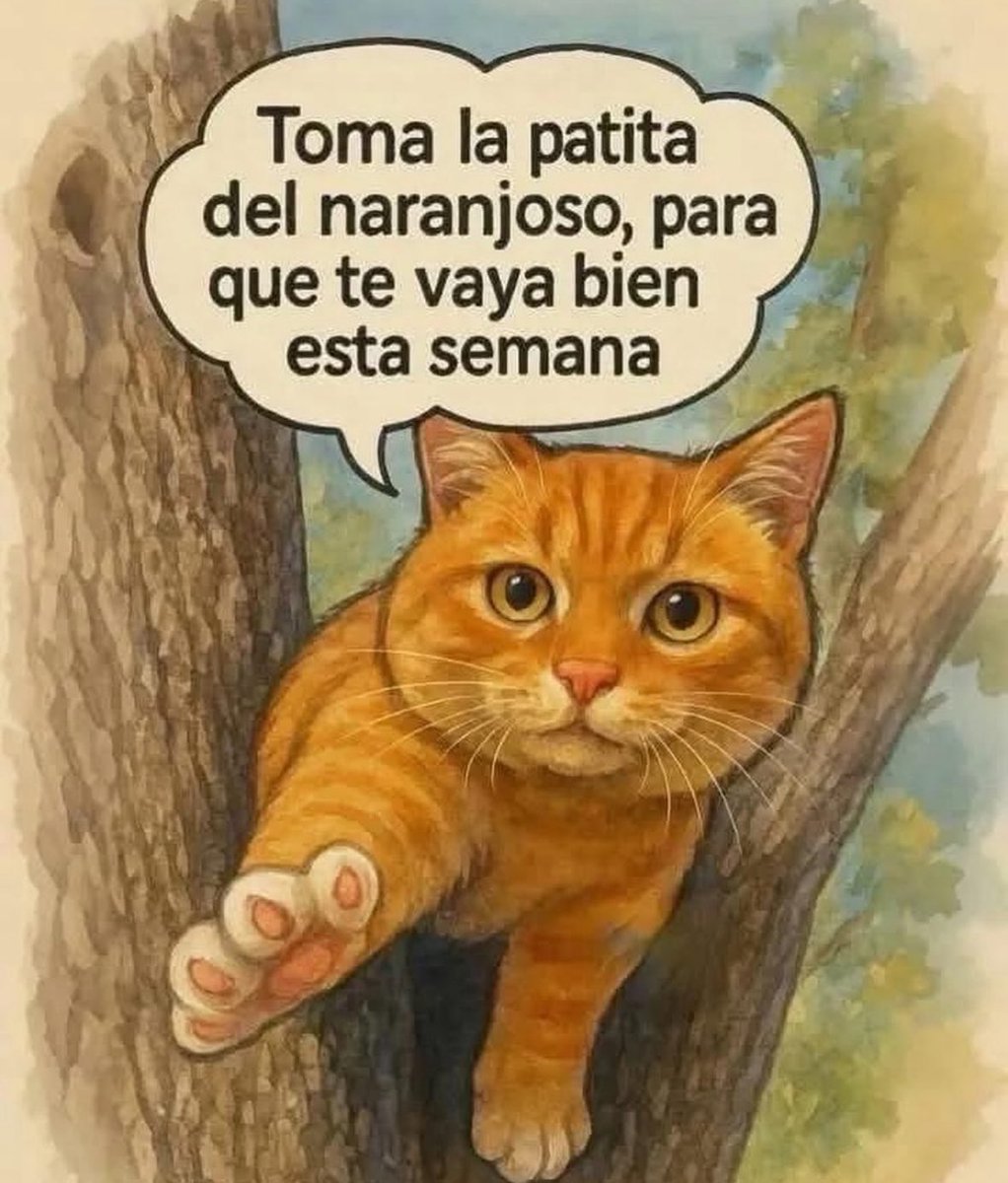 FraseSimple's tweet photo. https://t.co/GwwDkiD8hR
