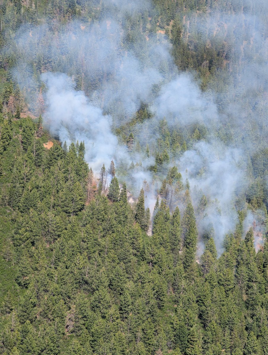 Central OR Fire Info (@centralorfire) on Twitter photo 🔥Katalo Fire (incident 485) burning on the <a href="/DesNatlForest/">Deschutes National Forest</a> SE of Kapka Butte is est. at 3 acres. Heavy helicopters are cooling hot spots while a dozer, Type 2 hand crew, one 5 person <a href="/ODF_COD/">Oregon Department of Forestry Central OR</a> crew and 2 engines work to establish fire line around the perimeter. 🔥Katalo Fire (incident 485) burning on the <a href="/DesNatlForest/">Deschutes National Forest</a> SE of Kapka Butte is est. at 3 acres. Heavy helicopters are cooling hot spots while a dozer, Type 2 hand crew, one 5 person <a href="/ODF_COD/">Oregon Department of Forestry Central OR</a> crew and 2 engines work to establish fire line around the perimeter.