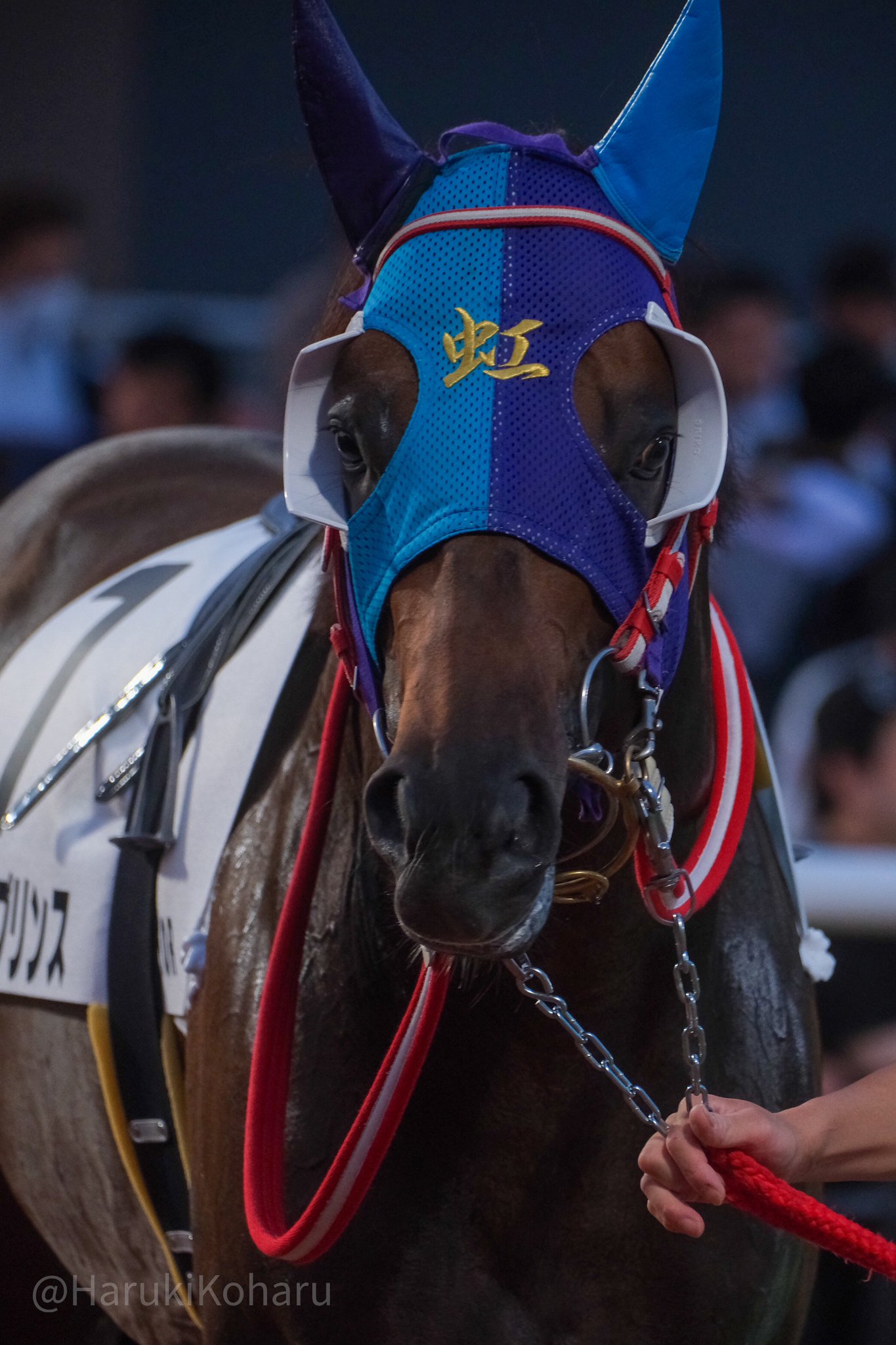 竹馬乗りたい様 竹川様ジギングチャーター！竹川様良型始め連発されてました