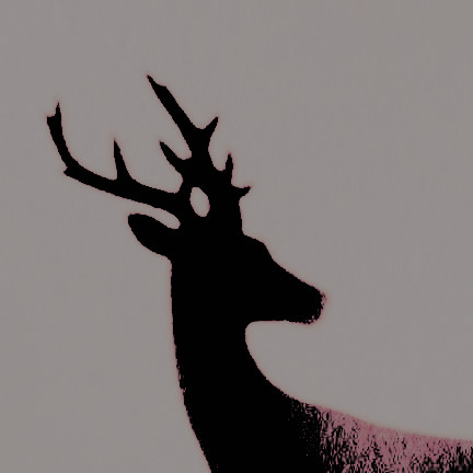 ᴾᴱᴼᴾᴸᴱ ᴾᴸᴱᴬˢᴱᴿ (@prongsiejames) on Twitter photo 