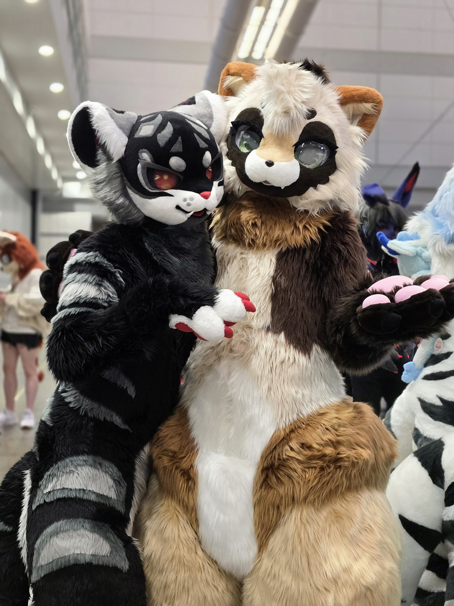 Azuki 🔜 ANE, FWA, AC (@AzukiKemono) / X