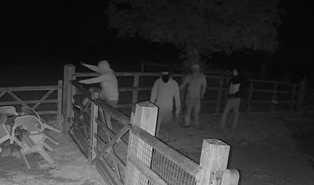 Sussex News - Breaking news for Sussex tweet media