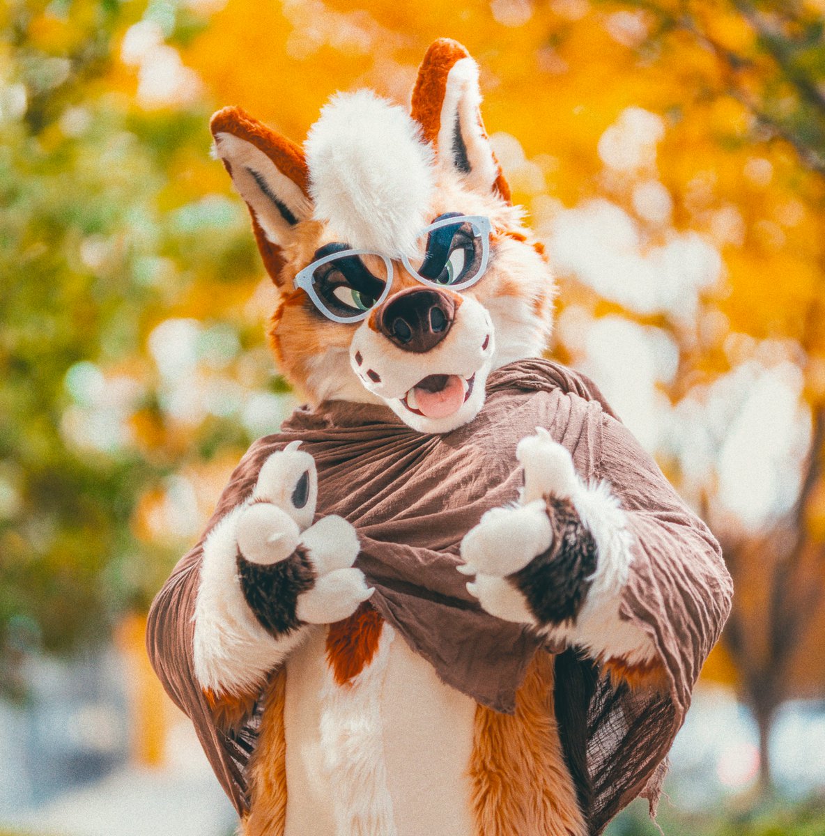 Hope ya had a swell long weekend! 🎇🎆
今週末たくさんのイベントあった(ᵕ—ᴗ—)