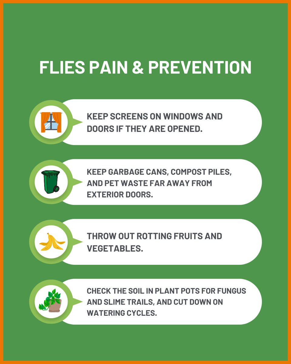 Flies taking over your home? You're not alone! These tiny pests love the Southeast's summer heat. Check out these tips on preventing flies from taking over your home this summer. 🪰  #trustterminix #pesttips #pestcontrol #pests