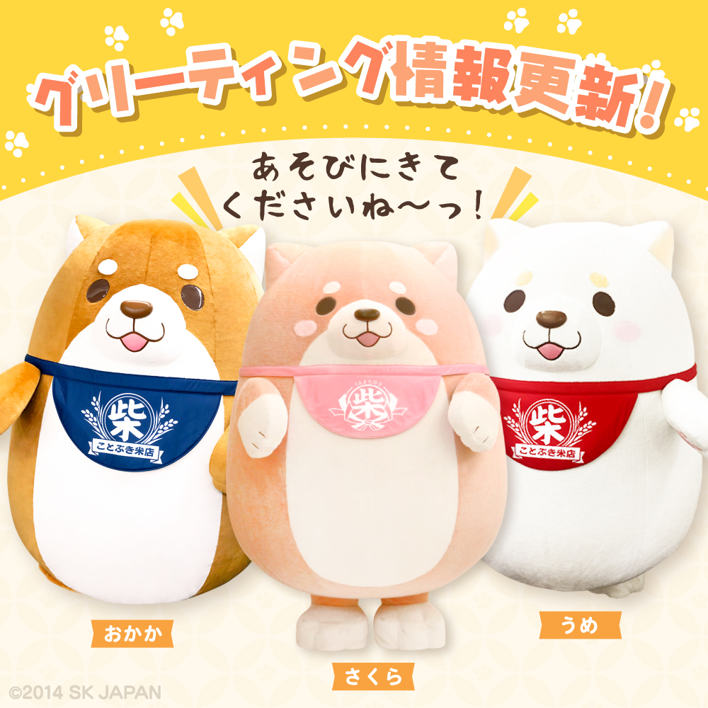 c_mochishiba's tweet image. \ #忠犬もちしば 7月おでかけ情報🐾 /
今月も各地に おかかたちが遊びにいきます♪
栃木・千葉・東京・沖縄にお邪魔します✨
ぜひ会いにきてくださいね!
(もちしばスタッフ🐾)
ーーーー
詳細はこちら▼
mochishiba.skj.jp/greeting/