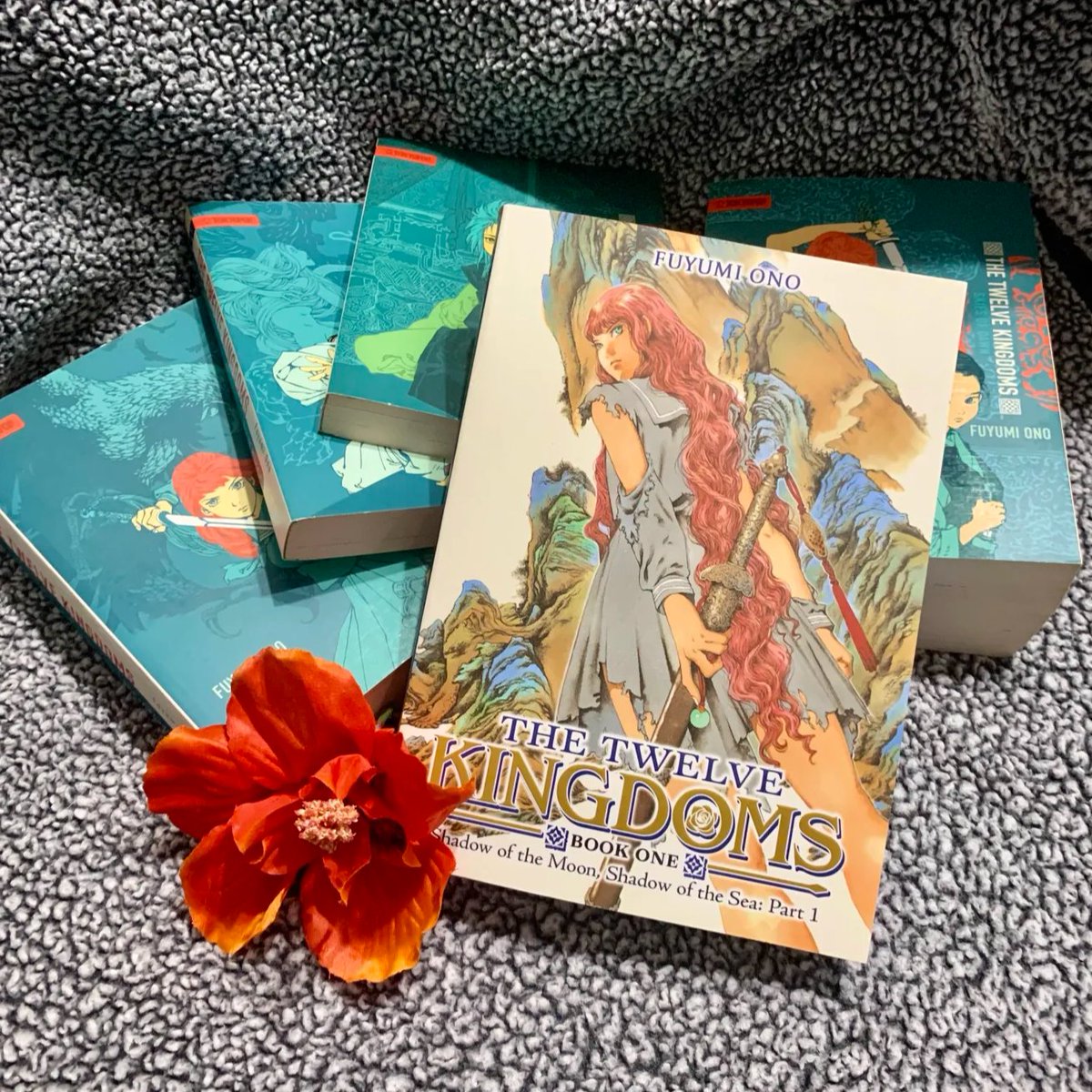 My copy of The Twelve Kingdoms Book 1 arrived today - it's the new publication by Seven Seas Entertainment that just released! 😍 You can see my older TokyoPop editions in the back there. I love this series so much!

Please please PLEASE translate the books we never got! 😭🙏