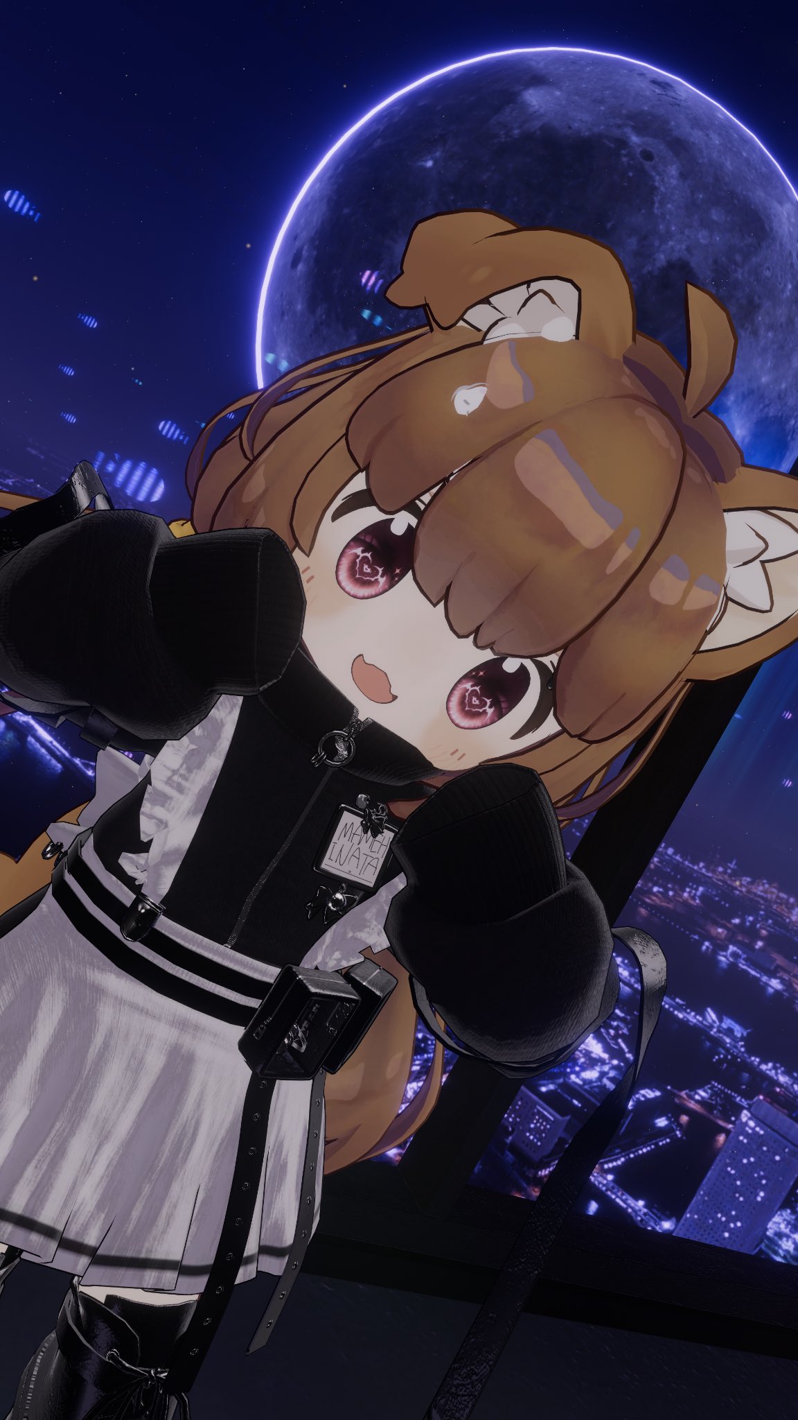 ねこちゃん ありがとねしょうちゃん 最小未熟児子猫しょうちゃんの旅立ちの