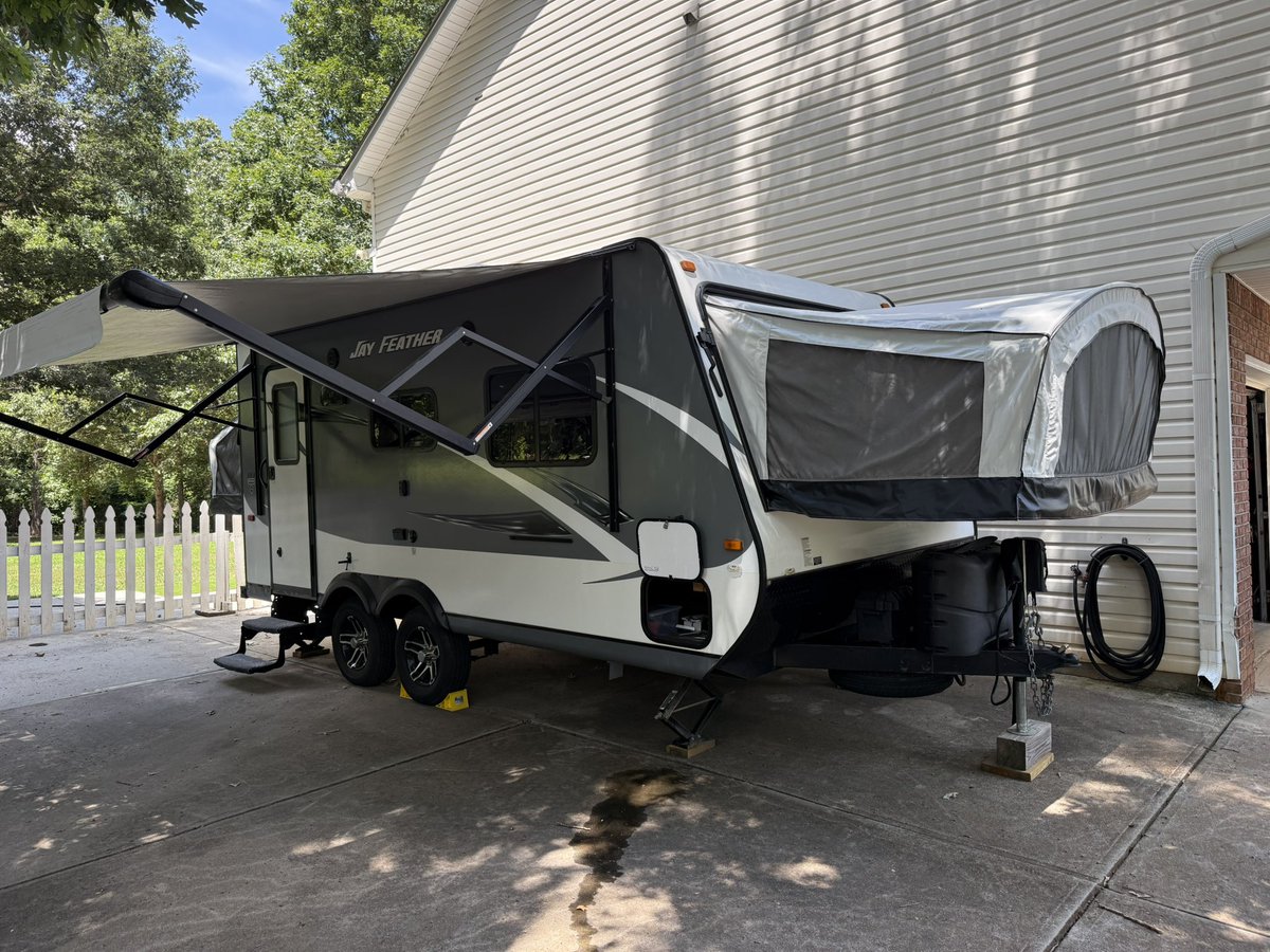 ✨Alpha✨ tweet media