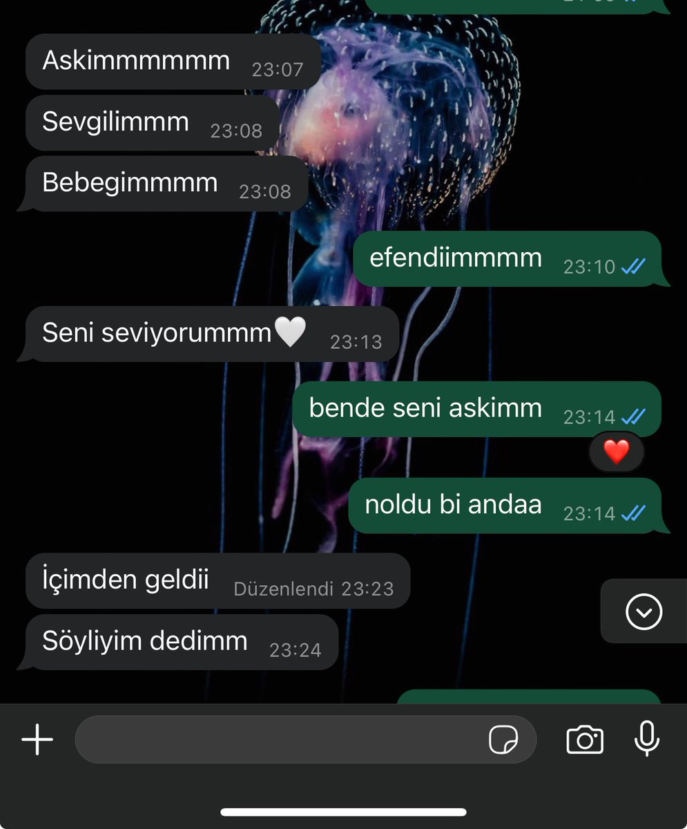 pekidnz's tweet photo. boynuzlarim cikti sanirim https://t.co/GMn6vEBFVP