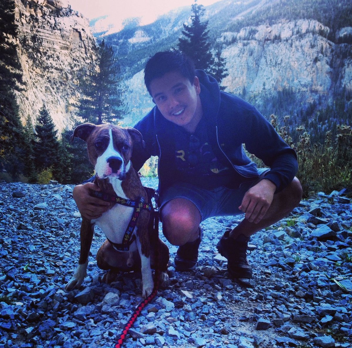 DanTomMMA's tweet image. R.I.P. to my best friend, Benjamin.
I was incredibly lucky to basically have the ideal dog that the childhood boy in many of us dreams of (for 14 yrs, no less).
Aside from being a literal super dog from smarts to athleticism, Ben was always there for me, even when I had no one.