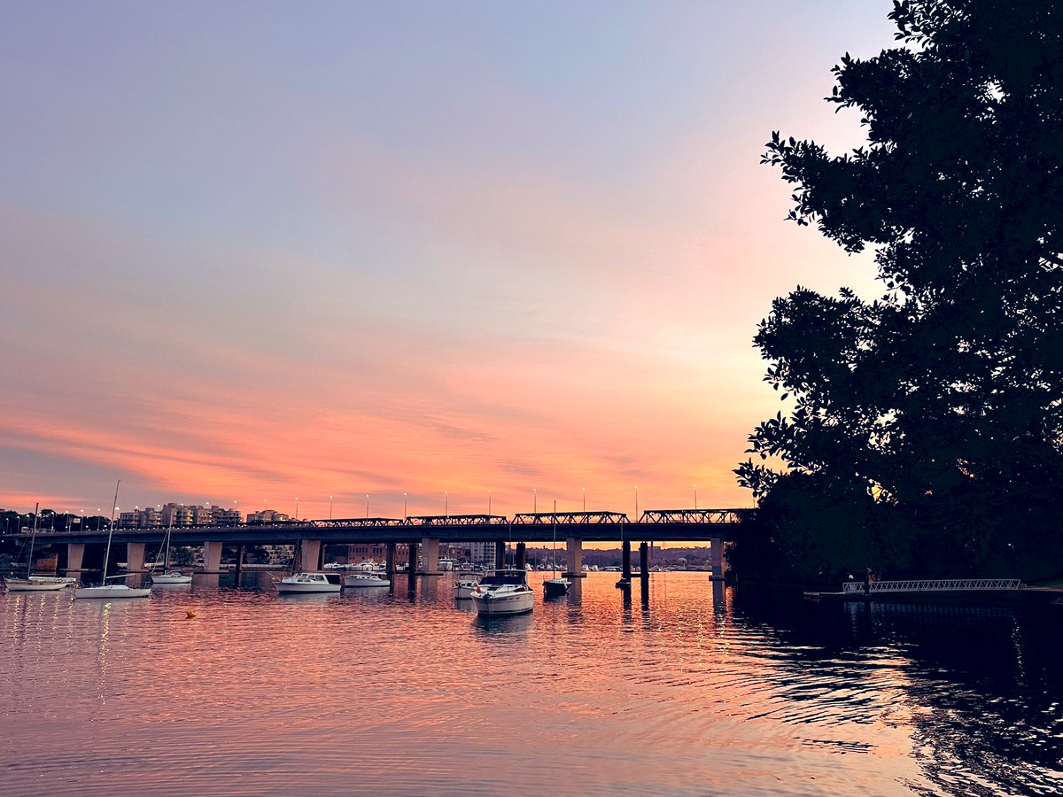 subbie's tweet photo. Back at #BayRun and what a morning! Had to stop for a few pics it was so magnificent. #running #Sydney https://t.co/ltqcKzjjU9