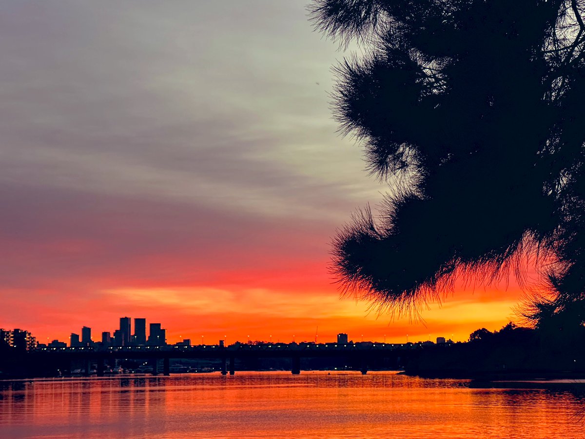 subbie's tweet photo. Back at #BayRun and what a morning! Had to stop for a few pics it was so magnificent. #running #Sydney https://t.co/ltqcKzjjU9