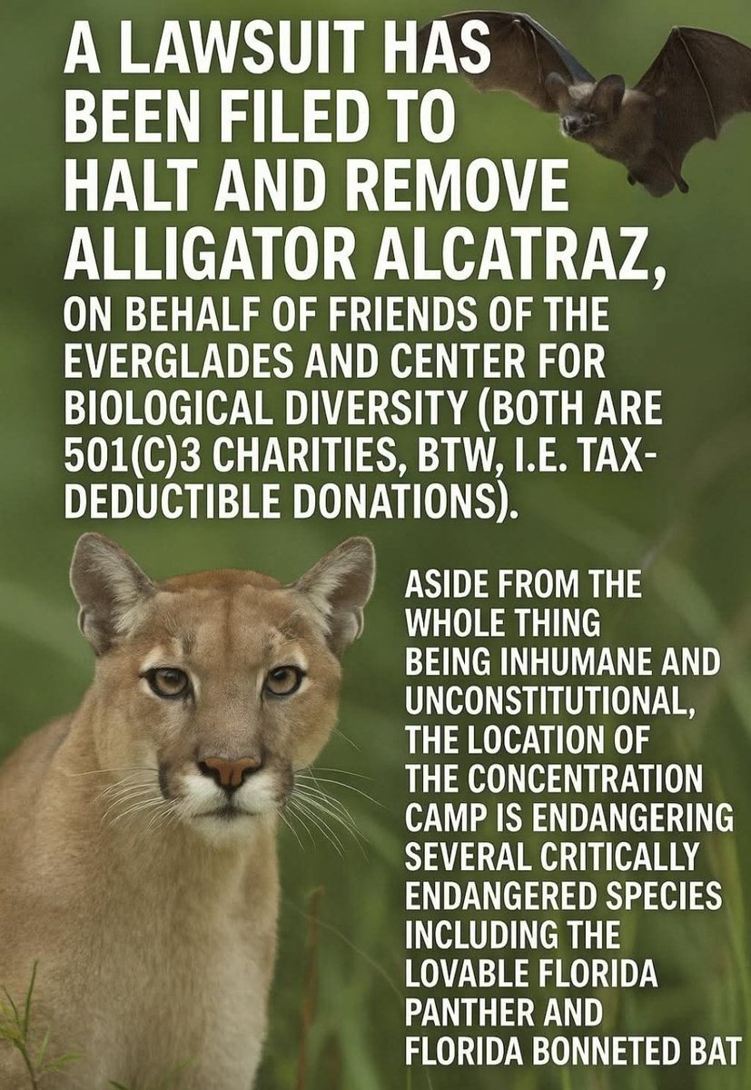 On June 27, 2025, Friends of the Everglades &amp; Center for Biological Diversity filed a lawsuit against the U.S. Department of Homeland Security, U.S. Immigration and Customs Enforcement, the Florida Division of Emergency Management and Miami-Dade County. 👇
everglades.org/alligator-alca…