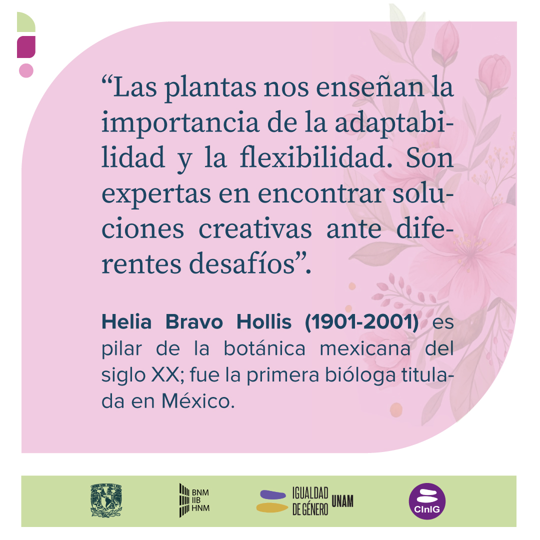 Biblioteca Nacional de México (@iibunam) on Twitter photo 8M: Mujeres de Palabras
Únete a la celebración del Día Internacional de la Mujer con la Comisión Interna para la Igualdad de Género del <a href="/IIBUNAM/">Biblioteca Nacional de México</a>, Biblioteca Nacional de México y Hemeroteca Nacional de México. Hemos recopilado frases célebres de mujeres mexicanas destacadas. 8M: Mujeres de Palabras
Únete a la celebración del Día Internacional de la Mujer con la Comisión Interna para la Igualdad de Género del <a href="/IIBUNAM/">Biblioteca Nacional de México</a>, Biblioteca Nacional de México y Hemeroteca Nacional de México. Hemos recopilado frases célebres de mujeres mexicanas destacadas.