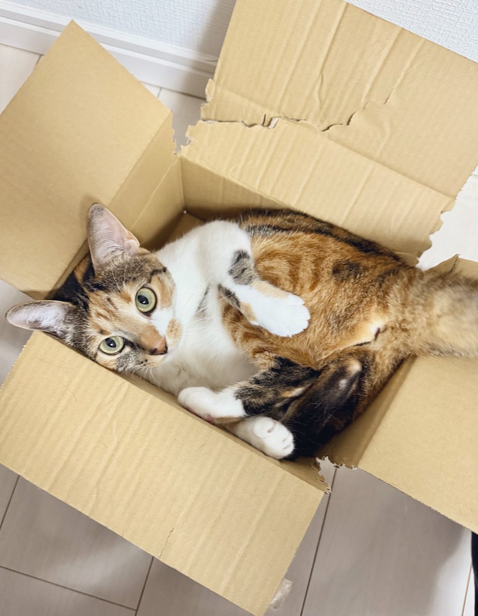 たっちゃん ラジコン燃料KLOTZ通販してます。 (@klotzonline) / Posts / X