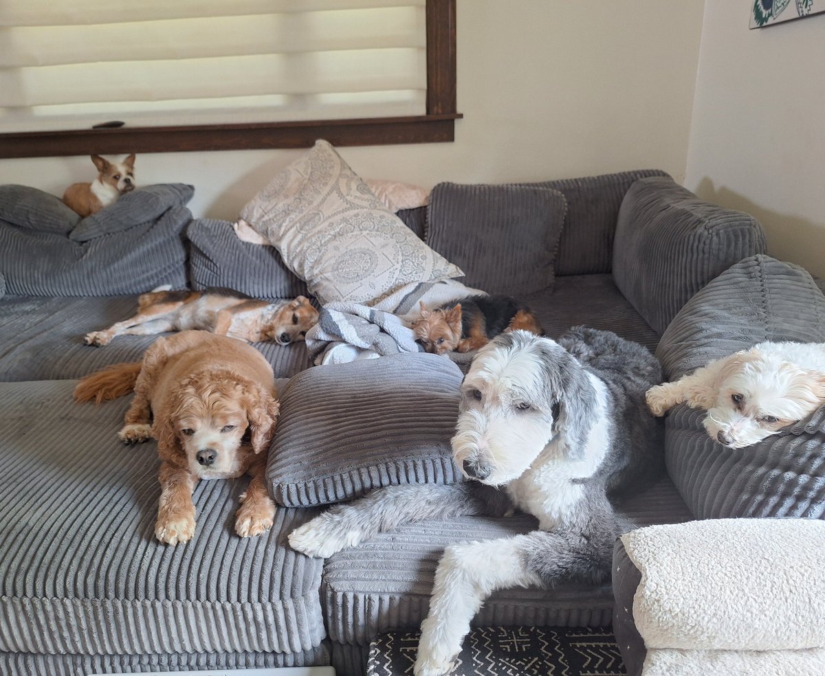 MrPuckett tweet media