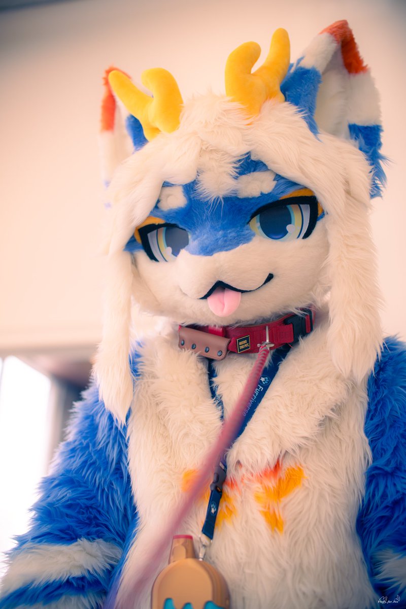 #fursuit #FursuitEveryday

에....? 이게 뭐야
📸 : <a href="/Fluffy_fur_Fox/">_Fluffy_Fox 🔜 집</a>