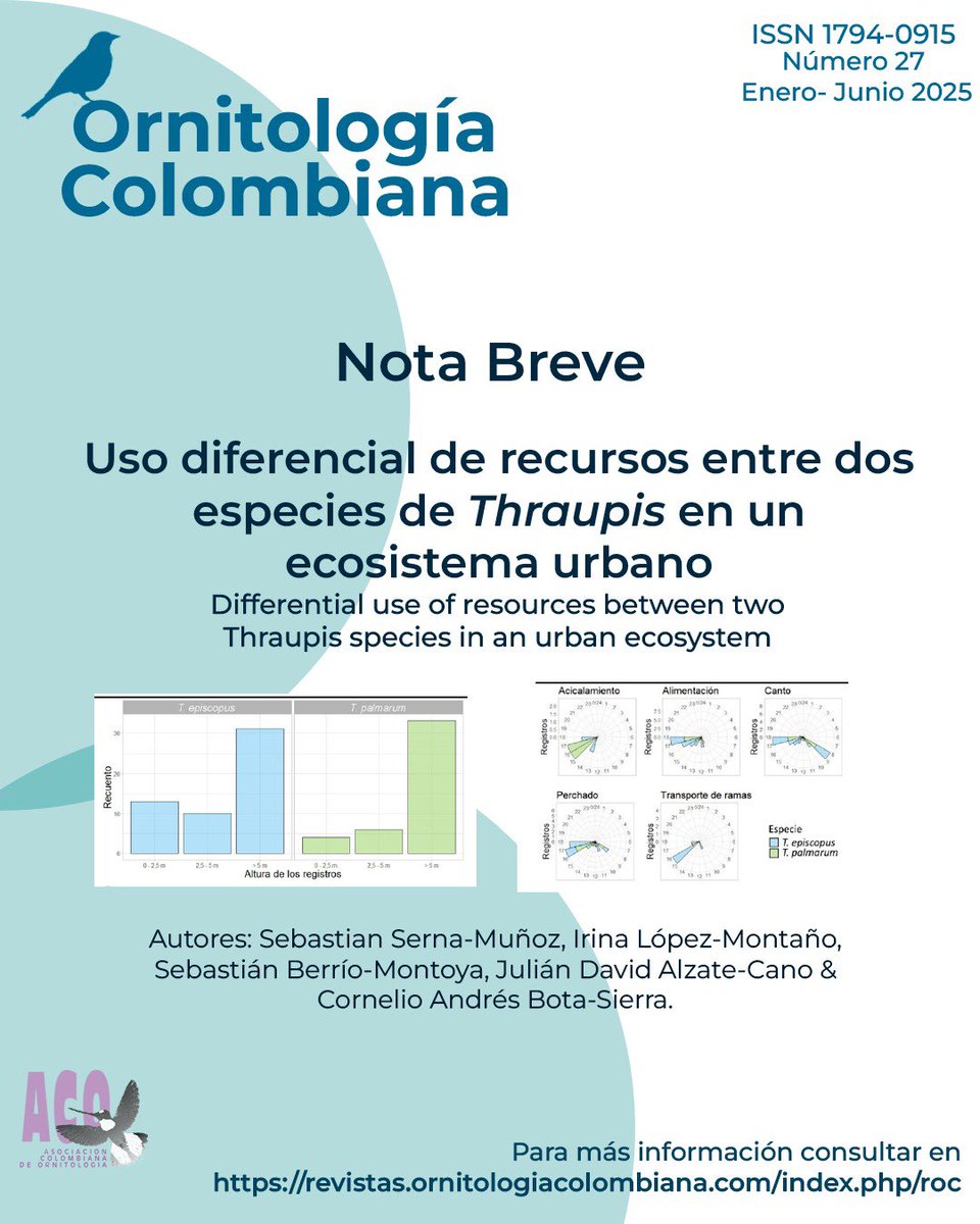 Abriendo nuestras notas breves con interesante información acerca del uso diferencial de recursos entre dos especies del género Thraupis 🐦 en un ecosistema urbano 🏗️
¿Quieres leerlo? Ingresa al link de Ornitología Colombiana 📚 y entérate de más 👉🏽👉🏽 revistas.ornitologiacolombiana.com/index.php/roc