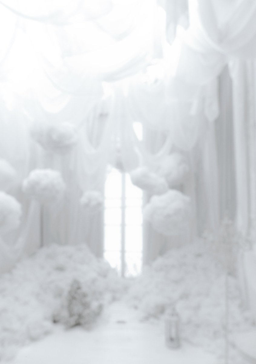 _Kouichi's tweet image. スタジオ @_Lumiere_K 10周年記念 写真展＆撮影会
GX645  Leaf Aptus 22 HC35