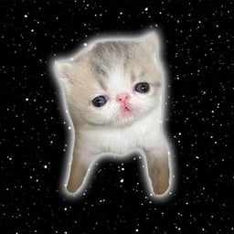 solstani's tweet image. 