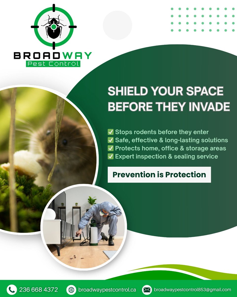 BroadPest93579's tweet image. Say goodbye to unwanted guests before they even arrive! 🐭🚫
With Rodent Prevention Plus by @broadwaypestcontrol, protect your home or office with expert sealing, safe treatments, and long-lasting results.

☎+1 236-668-4372
🌐 broadwaypestcontrol.ca

#broadwaypestcontrol