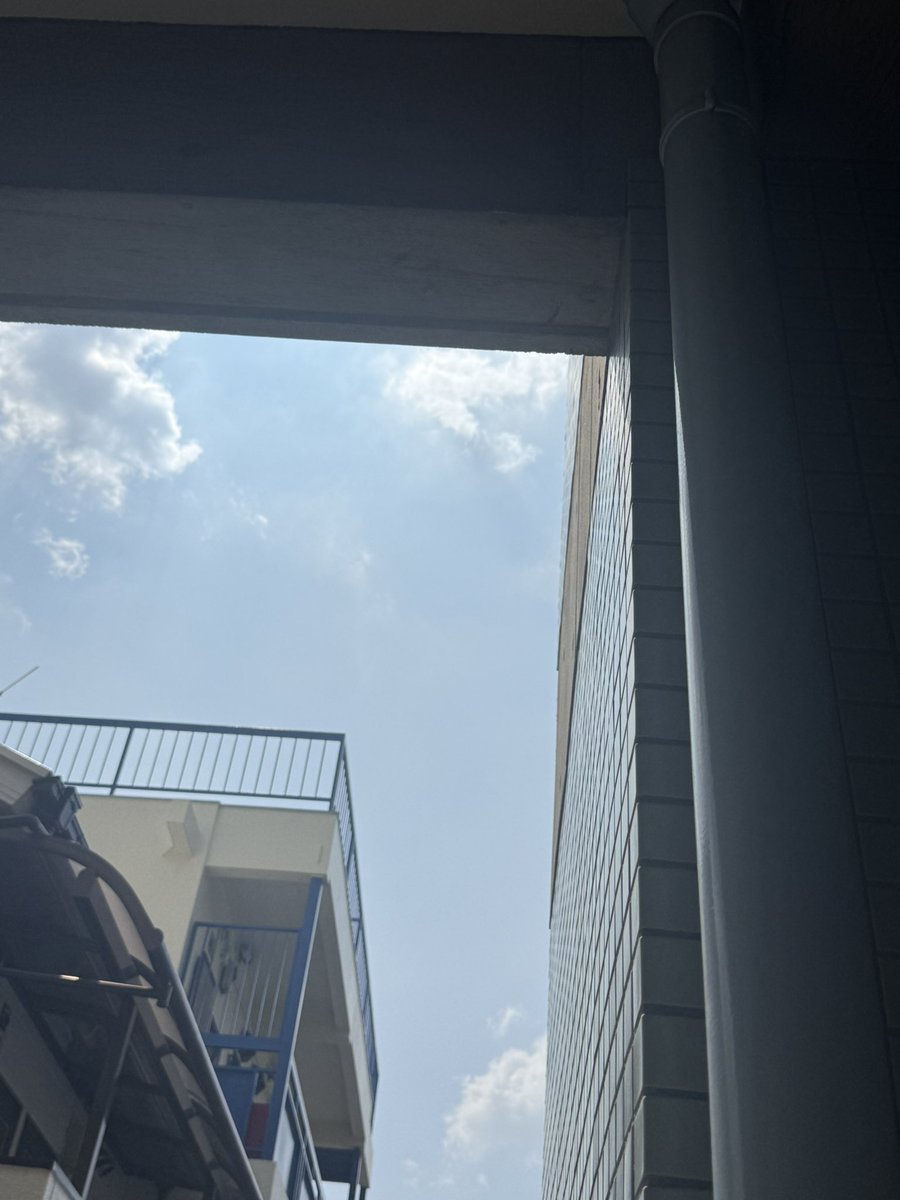 KengoIida's tweet photo. この中外出んのかー
天気良すぎるなぁ https://t.co/UWhU7nO2ym
