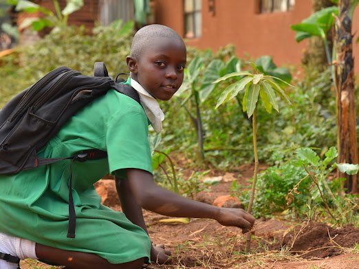 Rotaract Club of Kyengera tweet media