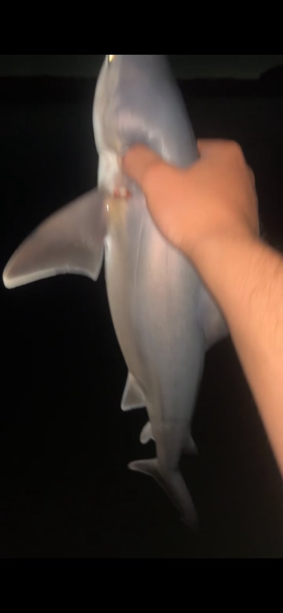 zynaftersex's tweet image. Black people fishing tonight #codeswitch