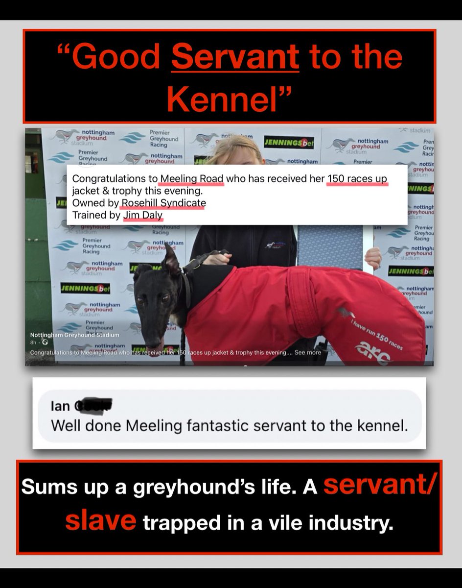 Robbie Grey#proudtobeananimalextremist (@robbiegrey2) on Twitter photo Never a truer word said by a pro! Referring to greyhound Meeling Road, as a “good servant (slave) to the Jim Daley kennel. Wonder what will happen to her when she can no longer be a ‘good servant’? Will they care if she is injured or killed in a race? <a href="/NadiaWhittomeMP/">Nadia Whittome MP</a> <a href="/JimDaly5/">Jim Daly Racing</a> Never a truer word said by a pro! Referring to greyhound Meeling Road, as a “good servant (slave) to the Jim Daley kennel. Wonder what will happen to her when she can no longer be a ‘good servant’? Will they care if she is injured or killed in a race? <a href="/NadiaWhittomeMP/">Nadia Whittome MP</a> <a href="/JimDaly5/">Jim Daly Racing</a>