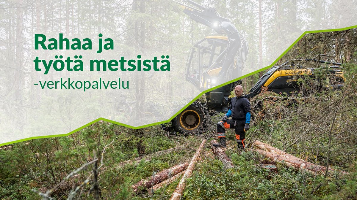 mmsaatio's tweet image. Metsämiesten Säätiön aloitteesta ja rahoituksella on toteutettu uusi verkkopalvelu metsien talouskäytön merkityksestä Suomessa: Rahaa ja työtä metsistä. Palvelun avulla voi helposti osoittaa ja kertoa, miten metsä vaikuttaa työllisyyteen, tuotantoon, palkkoihin ja verotuloihin…