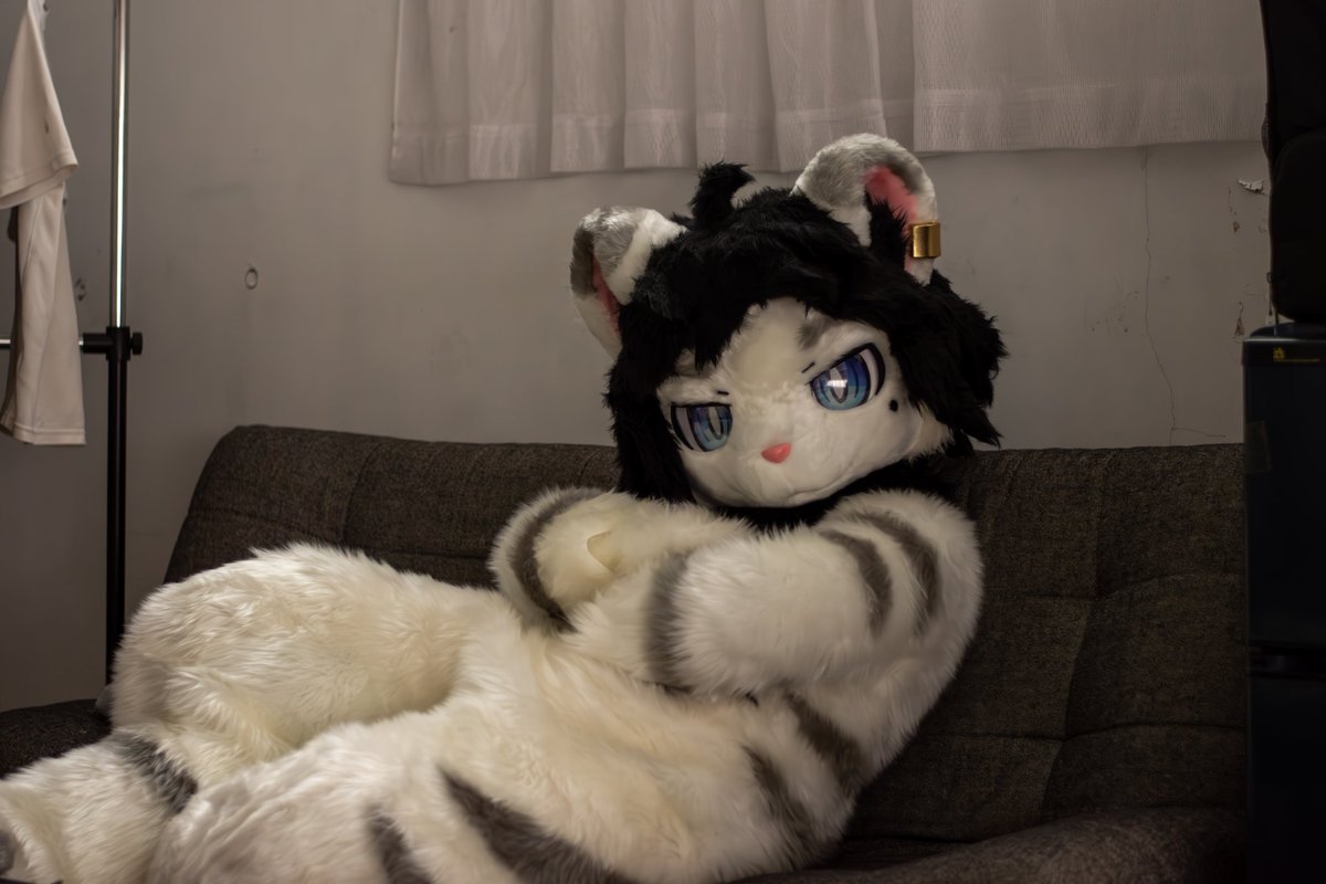 ふふん♪( ܸ ⩌⩊⩌ ܸ )